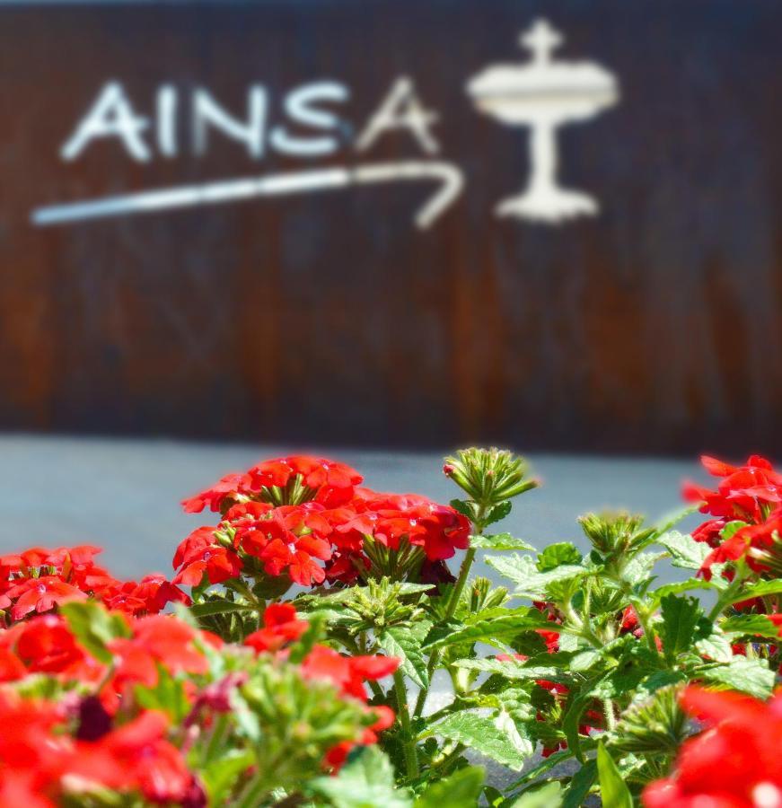 Guest House Ainsa Pirineos 外观 照片