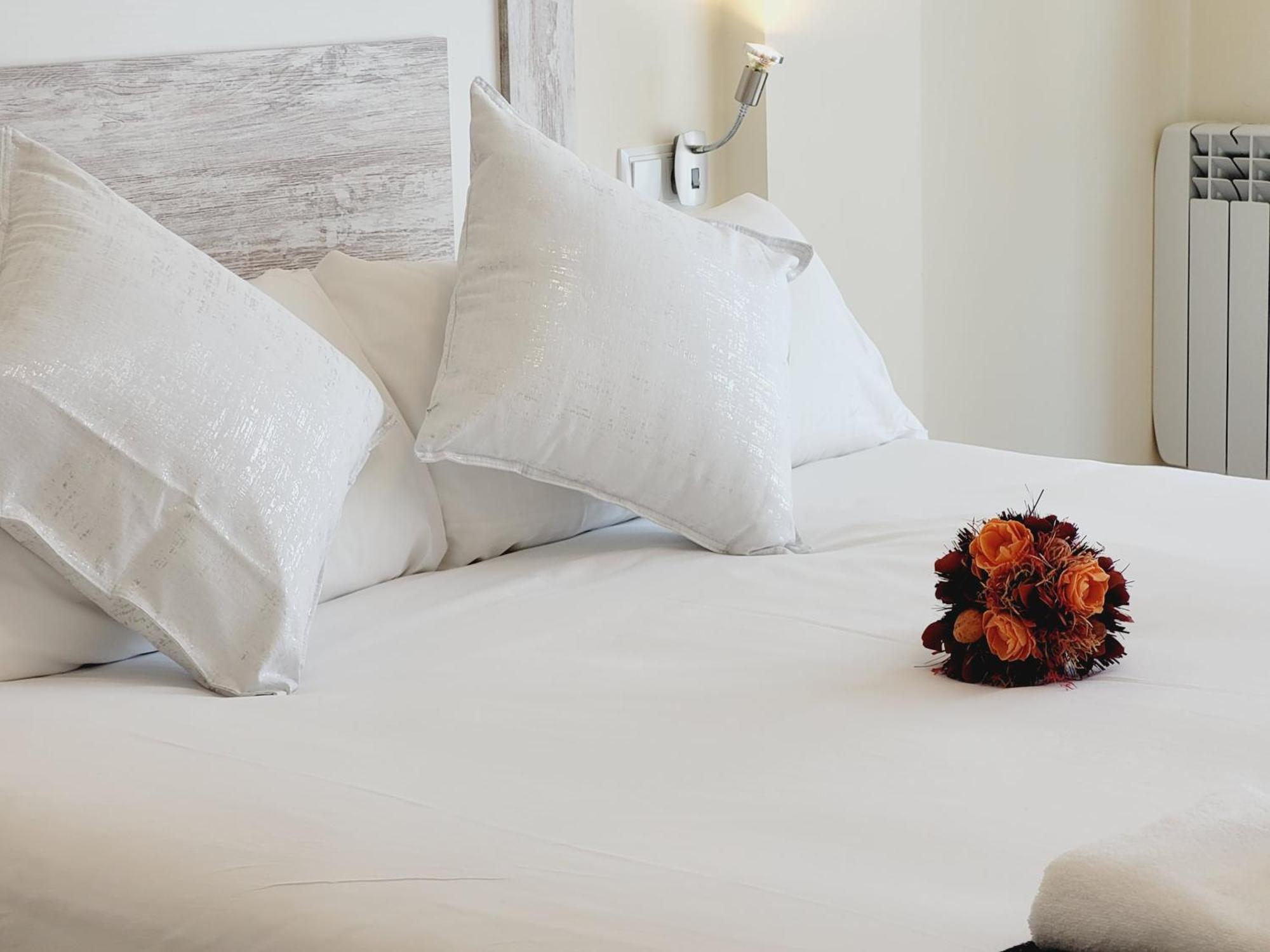Guest House Ainsa Pirineos 客房 照片